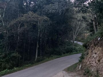TERRENO EN VENTA, RANCHO DEL BOSQUE, OMITLA, HGO.