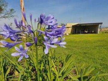 Casa en condominio - La Meseta