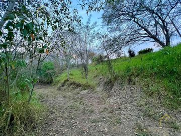 Terreno en venta zona UPN y Arco sur Xalapa Veracruz