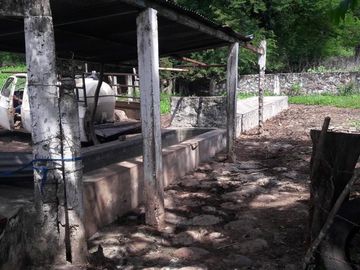 PASO DE OVEJAS, Rancho en VENTA de 80 Hectáreas!