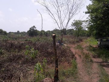 PASO DE OVEJAS, Rancho en VENTA de 80 Hectáreas!