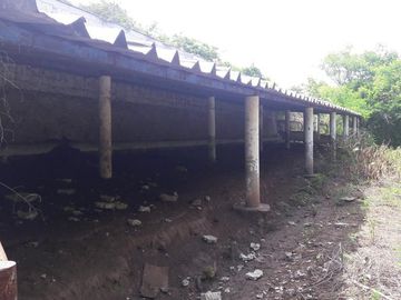 PASO DE OVEJAS, Rancho en VENTA de 80 Hectáreas!