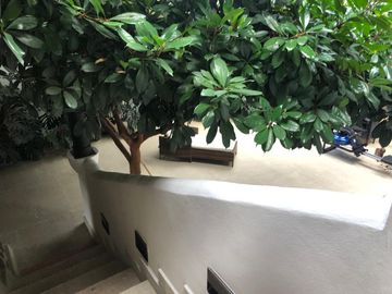 Hacienda en Venta en Ex-hacienda Jajalpa