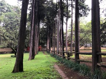 Hacienda en Venta en Ex-hacienda Jajalpa
