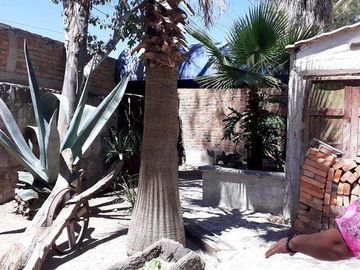 Venta de Casa en Fracc. Los Olivos, en Aguascalientes