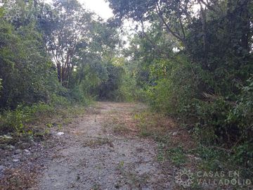 Terreno entre Dzitnup y Chichimila