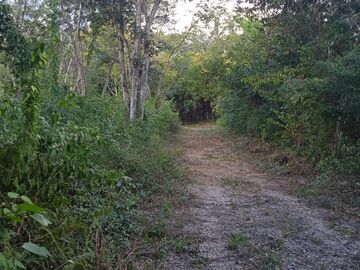Terreno entre Dzitnup y Chichimila