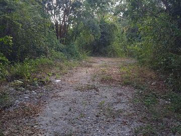 Terreno entre Dzitnup y Chichimila
