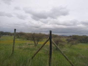CAUQUENES