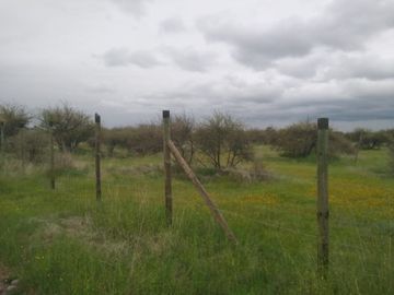 CAUQUENES