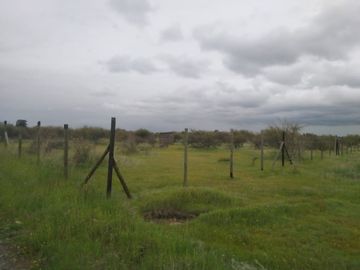 CAUQUENES