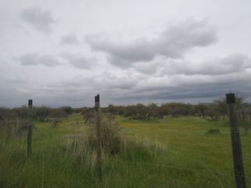 CAUQUENES
