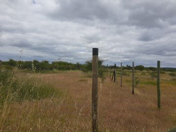 CAUQUENES