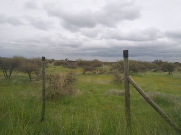 CAUQUENES