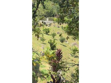 CASA DE CAMPO EN VENTA EN TITIRIBI