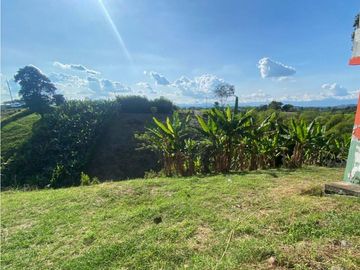 Casa-finca sector vía Alcalá-Cartago