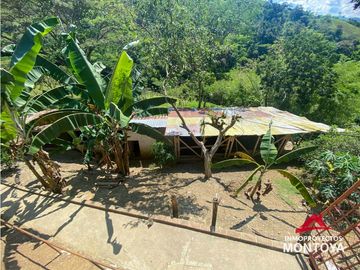 Finca sobre la vía Alcalá-Cartago