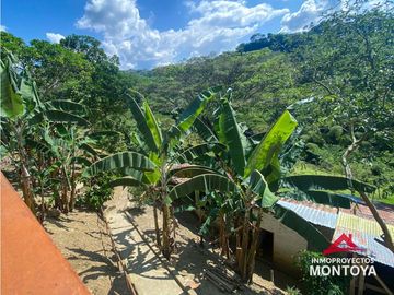 Finca sobre la vía Alcalá-Cartago