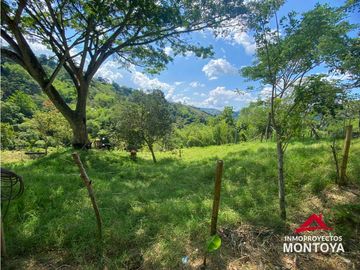 Finca sobre la vía Alcalá-Cartago