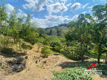 Finca sobre la vía Alcalá-Cartago