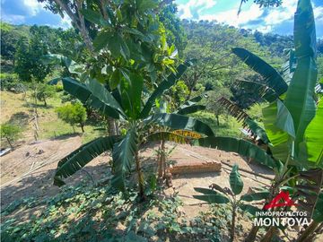 Finca sobre la vía Alcalá-Cartago