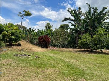 FINCA EN QUIMBAYA SE VENDE