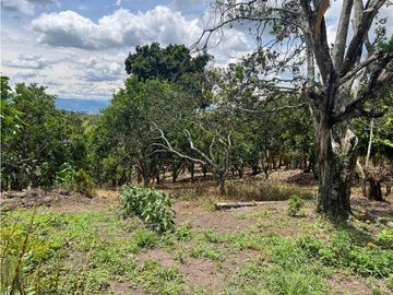 FINCA EN QUIMBAYA SE VENDE