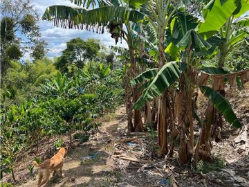 FINCA EN QUIMBAYA SE VENDE