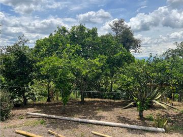 FINCA EN QUIMBAYA SE VENDE