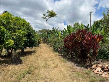FINCA EN QUIMBAYA SE VENDE