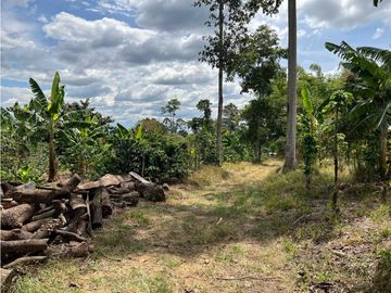 FINCA EN QUIMBAYA SE VENDE