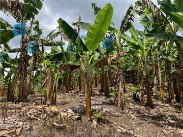 FINCA EN QUIMBAYA SE VENDE