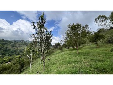 VENTA DE FINCA-HOTEL EN SALENTO, QUINDO, COLOMBIA