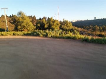 Sitio en Venta en Gran Oportunidad Se Vende Terreno en Reñaca sector privilegiado