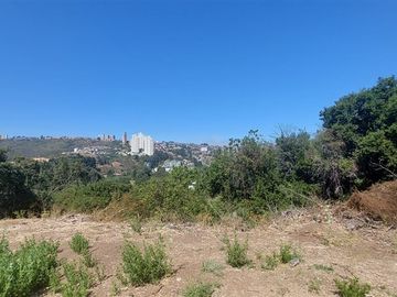 Sitio en Venta en Gran Oportunidad Se Vende Terreno en Reñaca sector privilegiado