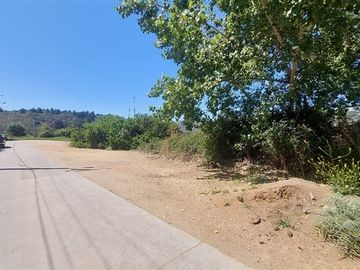 Sitio en Venta en Gran Oportunidad Se Vende Terreno en Reñaca sector privilegiado