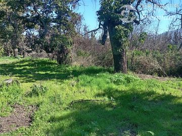 Agrícola en Venta en Entrada por Camino Internacional