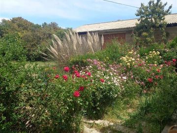 Agrícola en Venta en Entrada por Camino Internacional