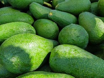 Agrícola en Venta en Entrada por Camino Internacional