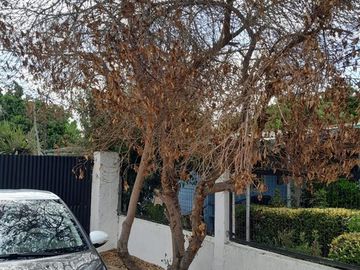 Agrícola en Venta en Entrada por Camino Internacional