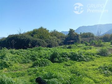Agrícola en Venta en Entrada por Camino Internacional