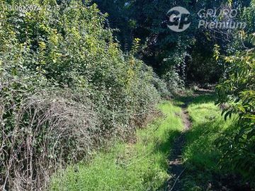 Agrícola en Venta en Entrada por Camino Internacional