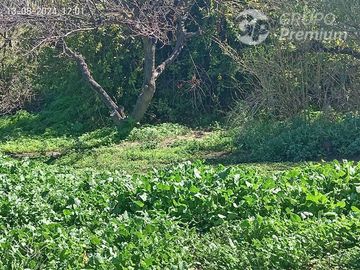 Parcela en Venta en Entrada por Camino Internacional