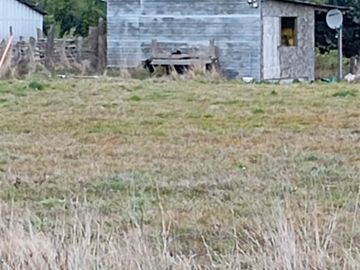 Agrícola en Venta en San Martin/ Esmeralda
