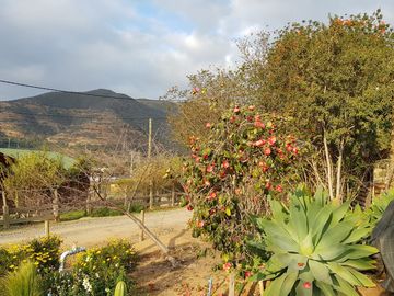 Venta de hermosa parcela en Quillota, San Pedro,  4.900 m2.