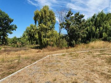 Casa en Venta en Zapallar