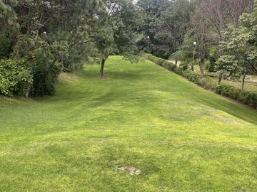 Bosque de los Virreyes un coto exclusivo