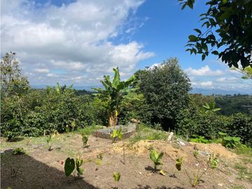 VENDO HERMOSA FINCA EN FILANDIA