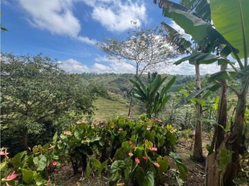 VENDO HERMOSA FINCA EN FILANDIA