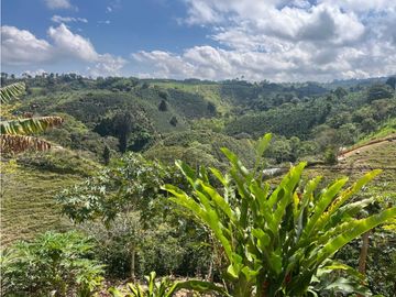 VENDO HERMOSA FINCA EN FILANDIA